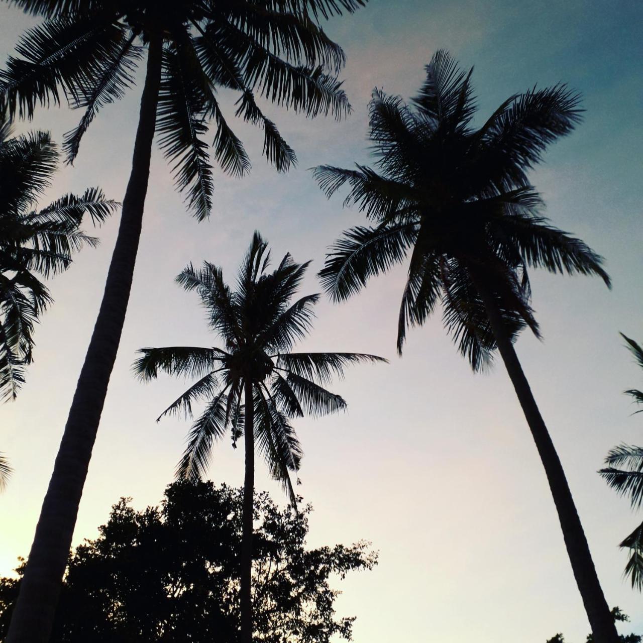 โคโค การ์เด้น รีสอร์ท ท้องศาลา ภายนอก รูปภาพ